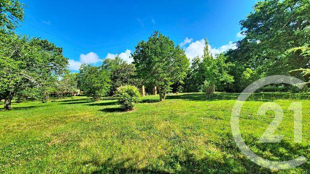 maison à vendre - 6 pièces - 244.3 m2 - AUTERIVE - 31 - MIDI-PYRENEES - Century 21 Act Immobilier