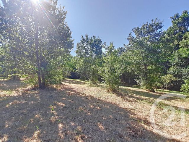 terrain à vendre - 6300.0 m2 - AUTERIVE - 31 - MIDI-PYRENEES - Century 21 Act Immobilier