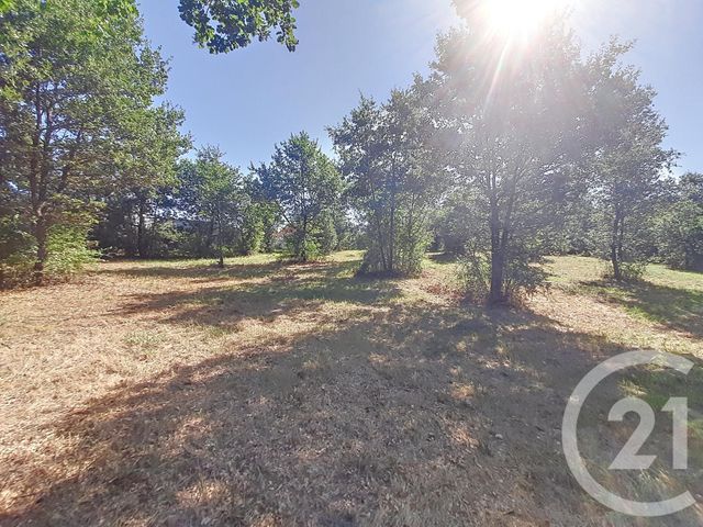 terrain à vendre - 6300.0 m2 - AUTERIVE - 31 - MIDI-PYRENEES - Century 21 Act Immobilier