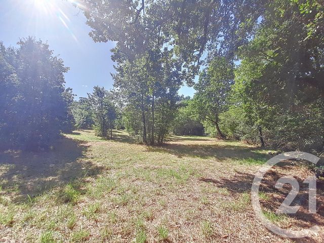 terrain à vendre - 6300.0 m2 - AUTERIVE - 31 - MIDI-PYRENEES - Century 21 Act Immobilier