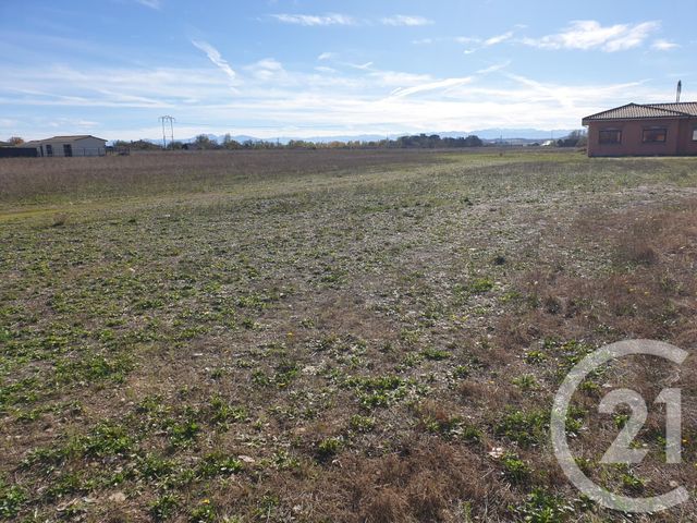 terrain à vendre - 1153.0 m2 - CINTEGABELLE - 31 - MIDI-PYRENEES - Century 21 Act Immobilier