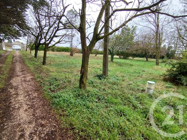 terrain à vendre - 3293.0 m2 - AUTERIVE - 31 - MIDI-PYRENEES - Century 21 Act Immobilier