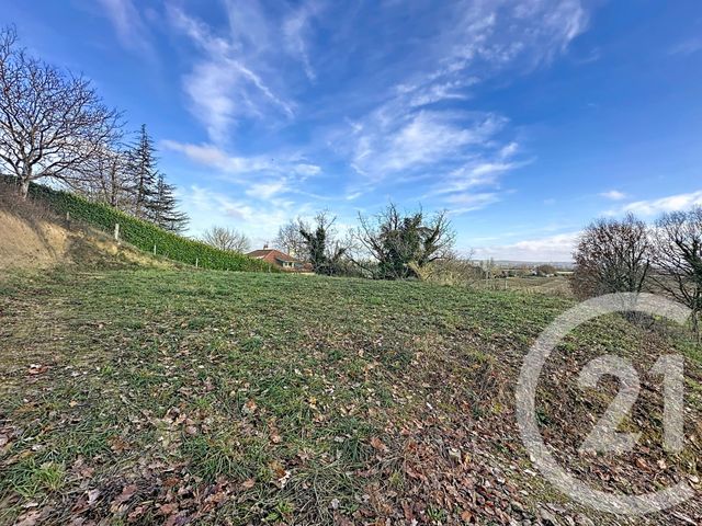 terrain à vendre - 1786.0 m2 - PUYDANIEL - 31 - MIDI-PYRENEES - Century 21 Act Immobilier