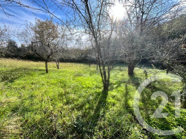 terrain à vendre - 2139.0 m2 - MIREMONT - 31 - MIDI-PYRENEES - Century 21 Act Immobilier