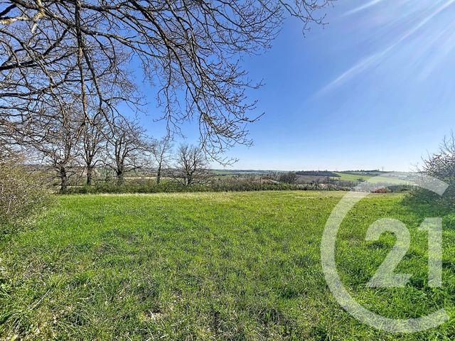 terrain - LABRUYERE DORSA - 31