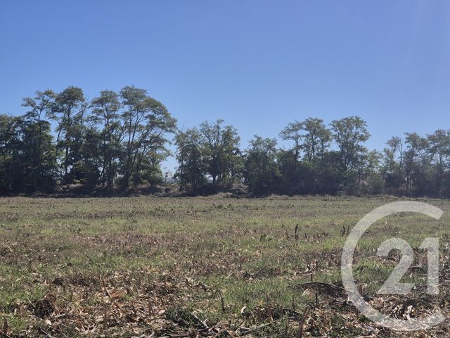 terrain à vendre - 3575.0 m2 - MIREMONT - 31 - MIDI-PYRENEES - Century 21 Act Immobilier