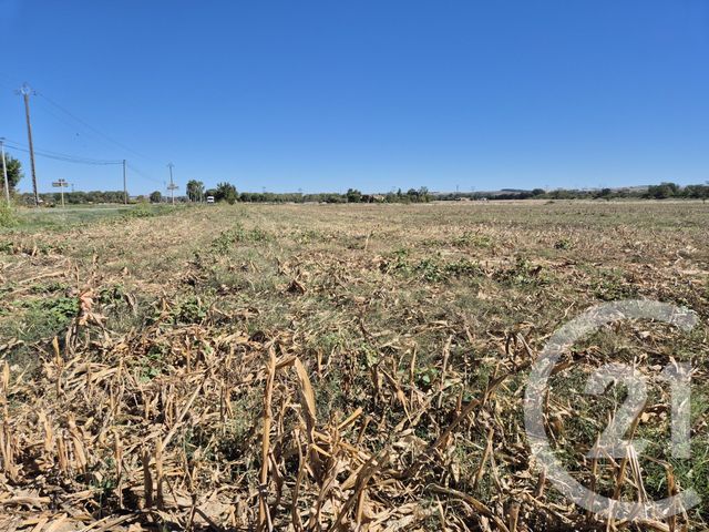 terrain à vendre - 3575.0 m2 - MIREMONT - 31 - MIDI-PYRENEES - Century 21 Act Immobilier