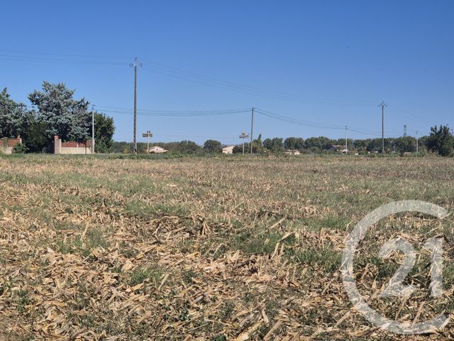 terrain à vendre - 3575.0 m2 - MIREMONT - 31 - MIDI-PYRENEES - Century 21 Act Immobilier