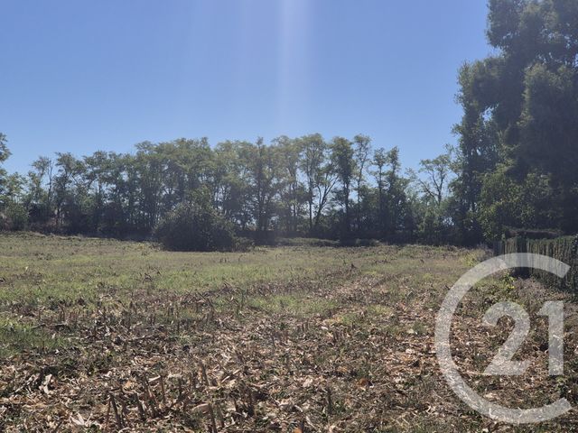 terrain à vendre - 3575.0 m2 - MIREMONT - 31 - MIDI-PYRENEES - Century 21 Act Immobilier