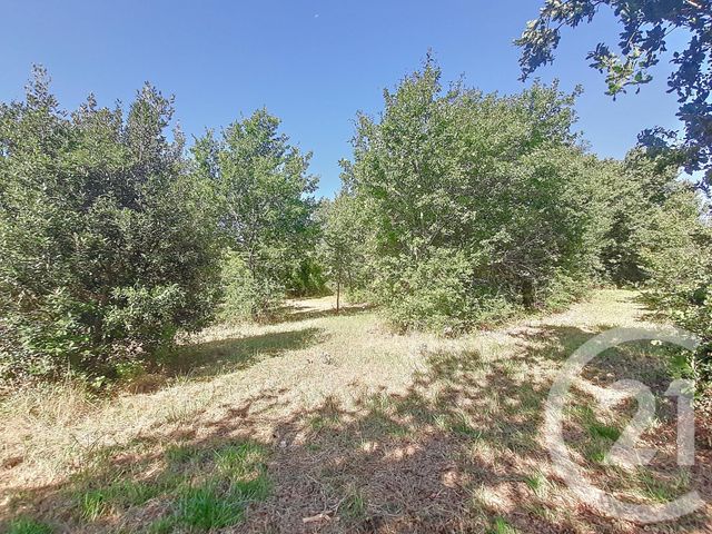 terrain à vendre - 6300.0 m2 - AUTERIVE - 31 - MIDI-PYRENEES - Century 21 Act Immobilier