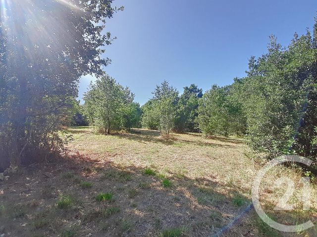 terrain à vendre - 6300.0 m2 - AUTERIVE - 31 - MIDI-PYRENEES - Century 21 Act Immobilier