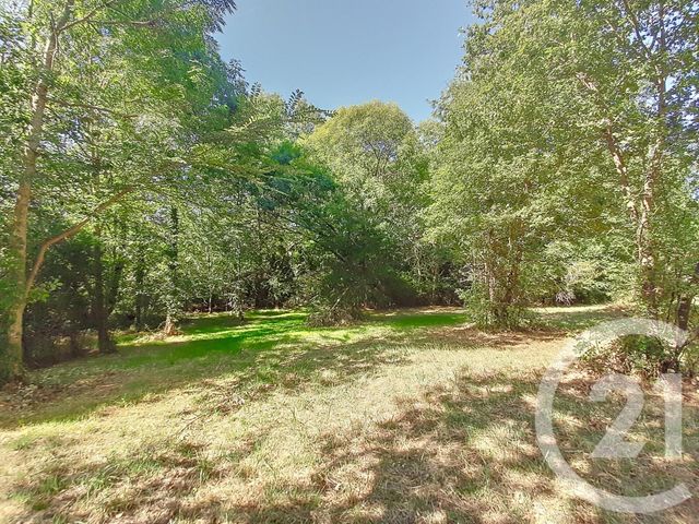 terrain à vendre - 6300.0 m2 - AUTERIVE - 31 - MIDI-PYRENEES - Century 21 Act Immobilier
