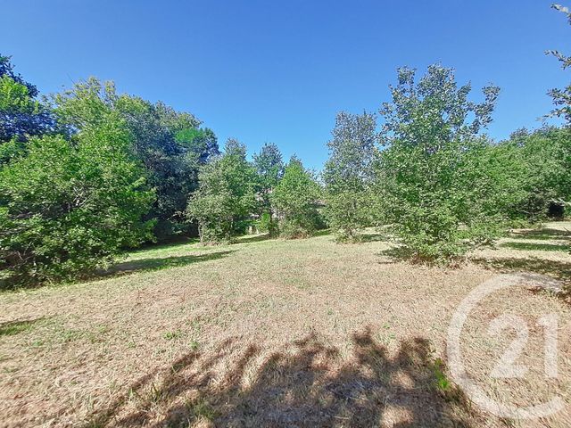terrain à vendre - 6300.0 m2 - AUTERIVE - 31 - MIDI-PYRENEES - Century 21 Act Immobilier