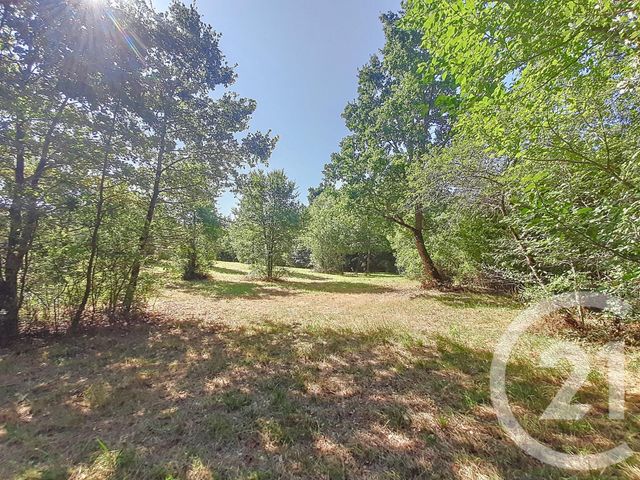 terrain à vendre - 6300.0 m2 - AUTERIVE - 31 - MIDI-PYRENEES - Century 21 Act Immobilier