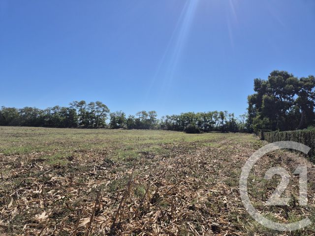 terrain à vendre - 3605.0 m2 - MIREMONT - 31 - MIDI-PYRENEES - Century 21 Act Immobilier