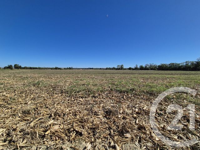 terrain à vendre - 3605.0 m2 - MIREMONT - 31 - MIDI-PYRENEES - Century 21 Act Immobilier