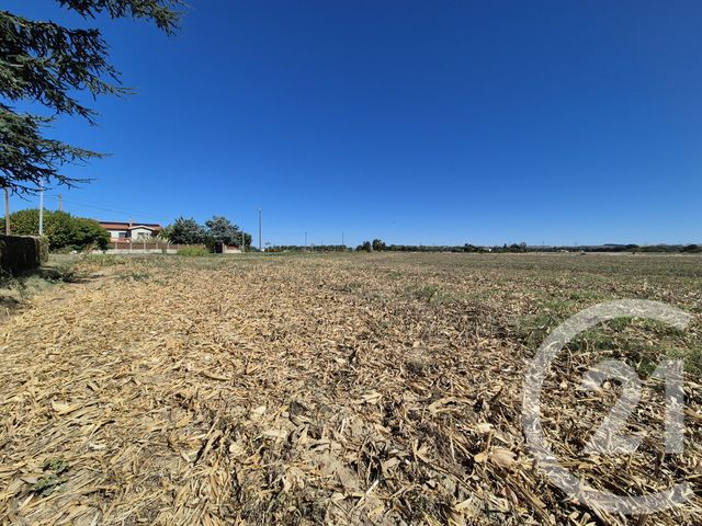 terrain à vendre - 3605.0 m2 - MIREMONT - 31 - MIDI-PYRENEES - Century 21 Act Immobilier