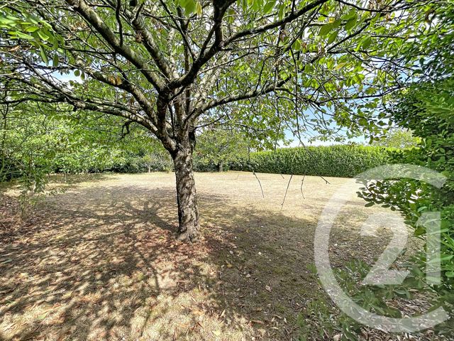 maison à vendre - 4 pièces - 135.0 m2 - CINTEGABELLE - 31 - MIDI-PYRENEES - Century 21 Act Immobilier